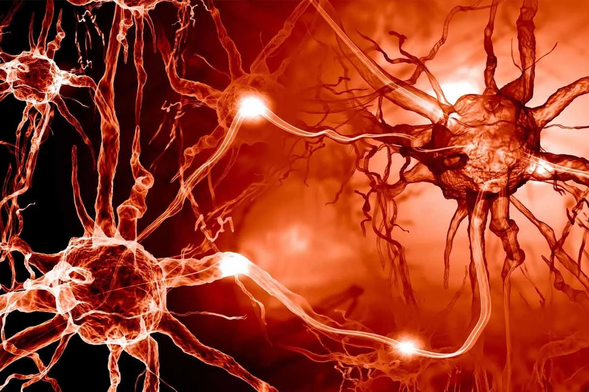 Innovative Approach to Alzheimer's Treatment: Repurposing Cancer Drugs