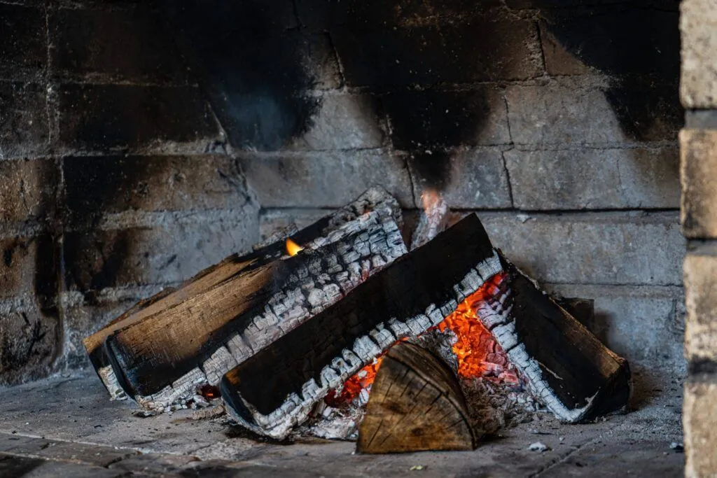 Fruit Waste Briquettes: A New Era in Sustainable Heating